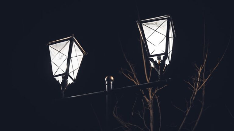 Cele mai bune soluții pentru iluminarea grădinii și curții tale