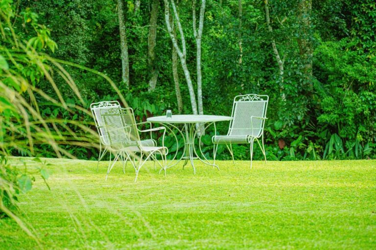 Cum să îți creezi un spațiu de lucru în aer liber pentru a te bucura de natură