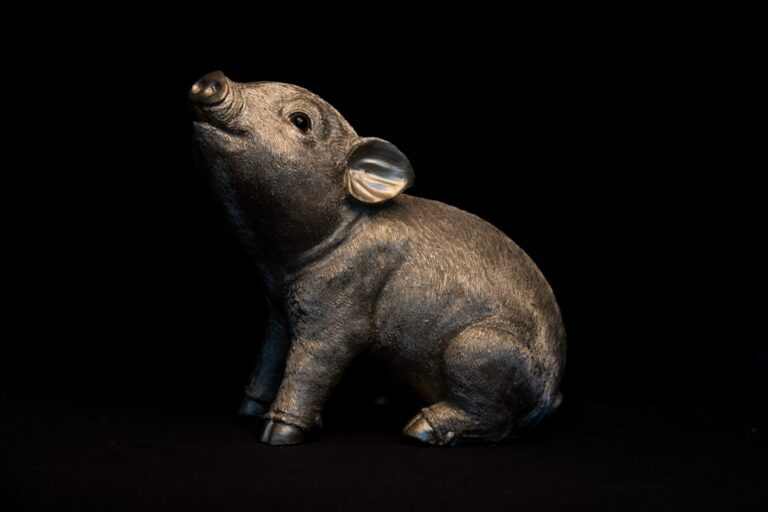 Trucuri pentru a economisi bani fără a reduce calitatea vieții