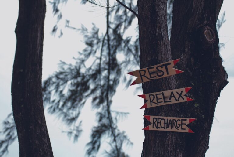 Cele mai bune practici pentru prevenirea epuizarii emotionale