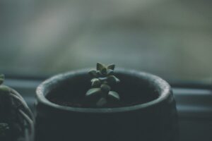 Photo "How to learn to be patient with your growth process"