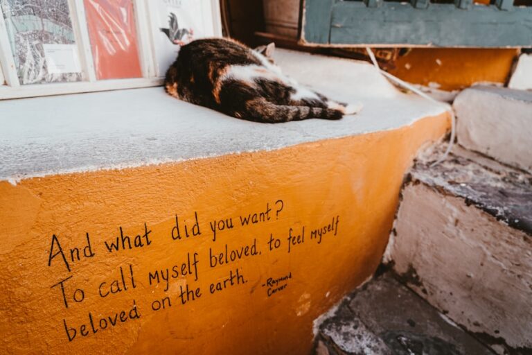 Citate de care ai nevoie când simți că nu mai știi cine ești