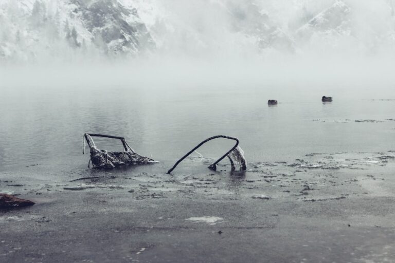 Citate poetice despre melancolie și frumusețea lucrurilor trecătoare