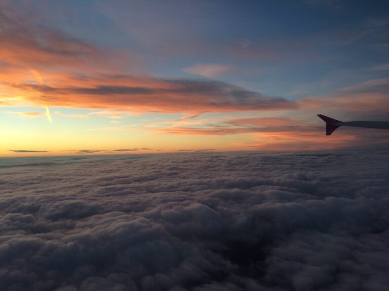 Visele cu zbor controlat versus zbor haotic – diferente de interpretare