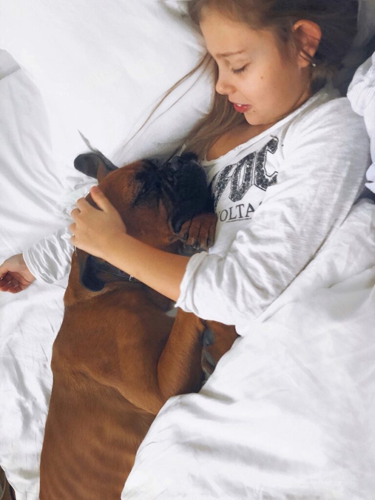 Visele cu animale – ce simboluri ascund cainii, pisicile, caii sau pasarile