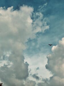 Photo "What do dreams in which you fly but cannot land mean?"