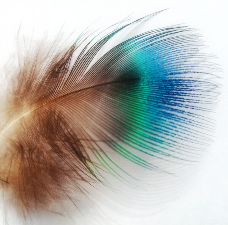 Ce se intampla cand clipim – mistere aparent simple, dar uluitoare