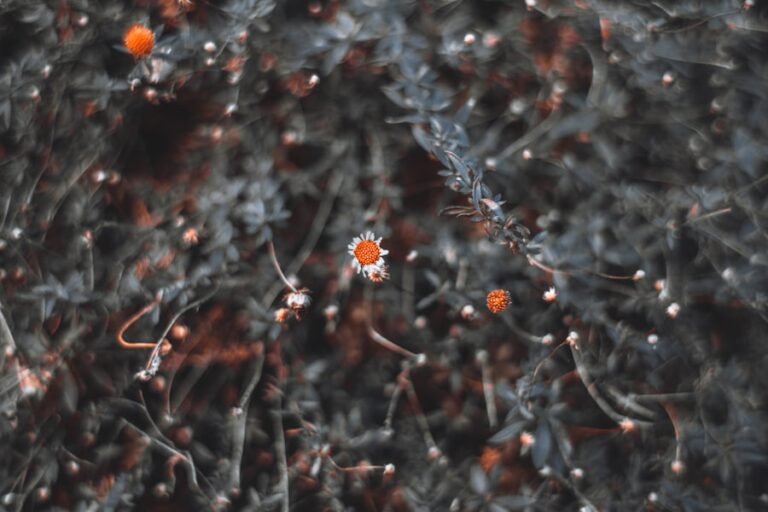 Cum functioneaza memoria si de ce este uneori inselatoare