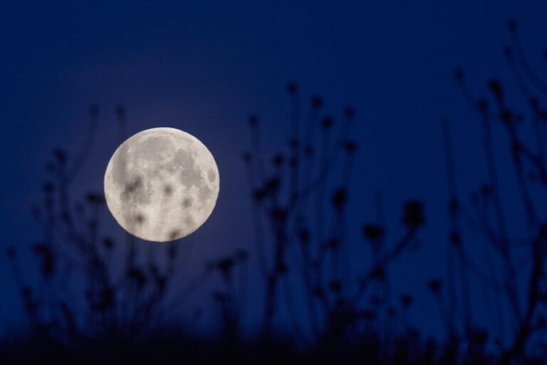 Cum influenteaza luna plina somnul si comportamentul uman