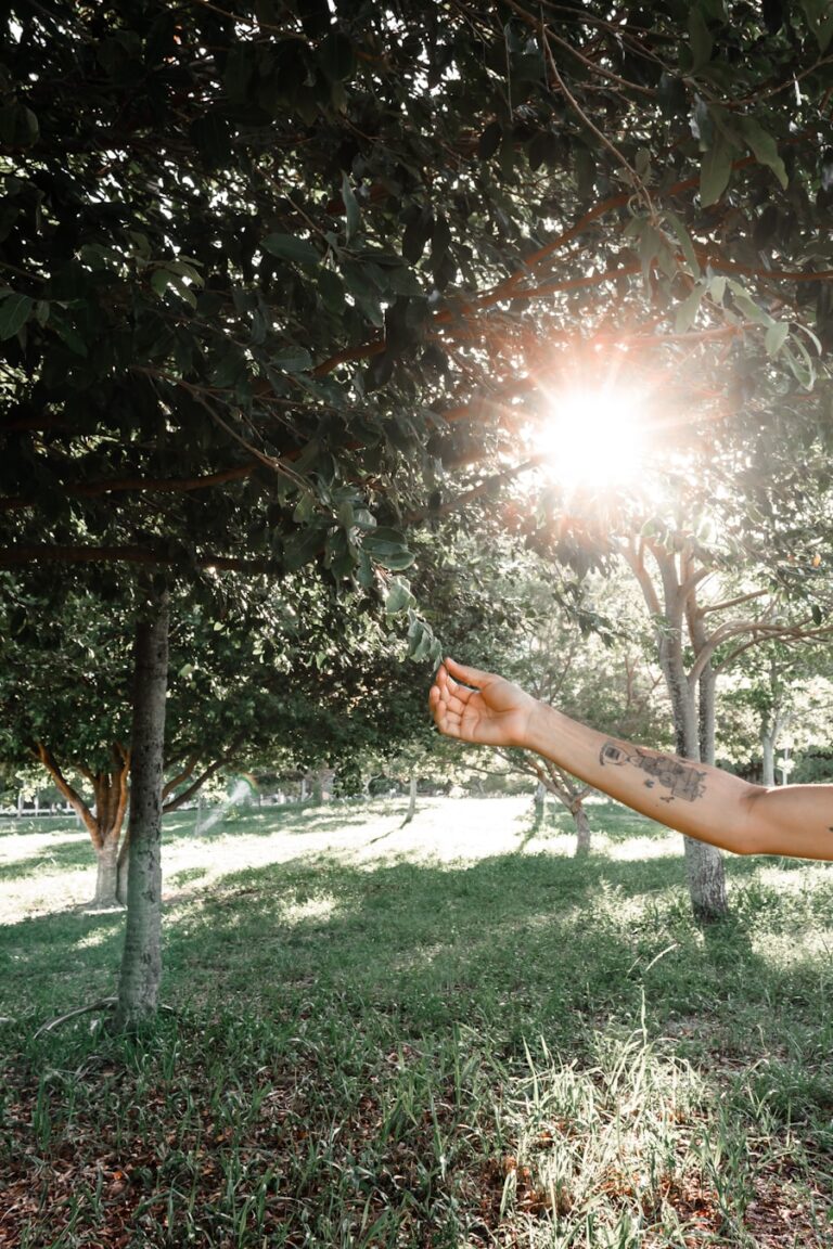 5 tipuri de miscare usoara care te ajuta sa ramai activ si relaxat