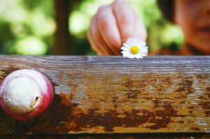 Photo "What small habits can make a big difference in your overall well-being?"