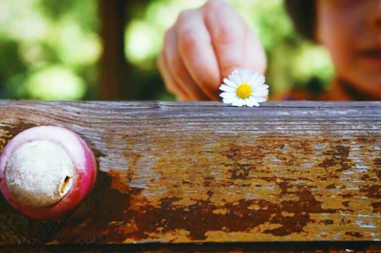Ce obiceiuri mici pot face o diferenta mare in starea ta generala de bine