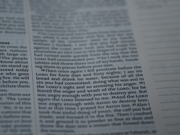 Citate care alină sufletul rănit